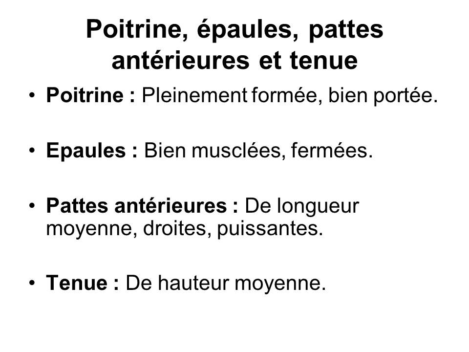 Diapositive12 1
