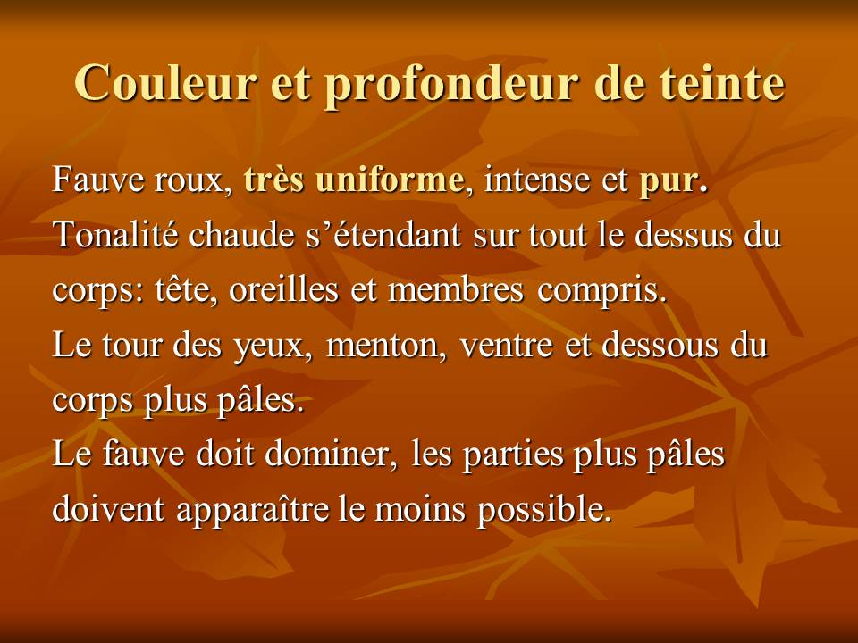 Diapositive15